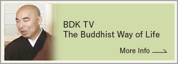 bdktv