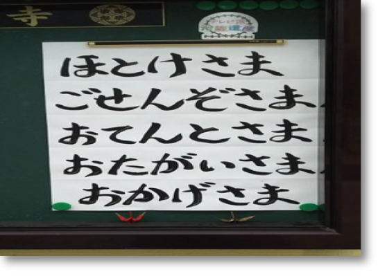 おまえも死ぬぞ　釈尊