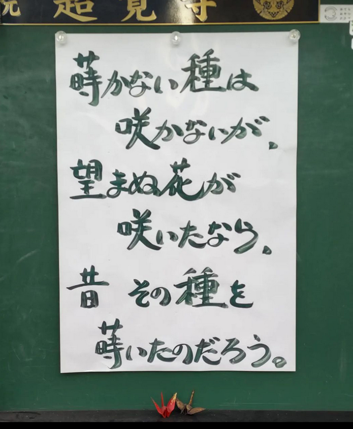 蒔かない種は咲かないが　望まぬ花が咲いたなら　昔その種を蒔いたのだろう