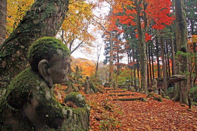 17日 ： 願わないのに病み 望まないのに老いる