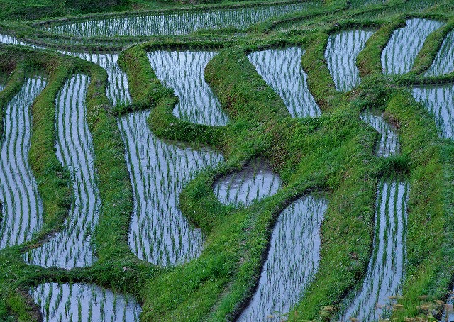 29日 ：  不自由を常と思えば不足なし