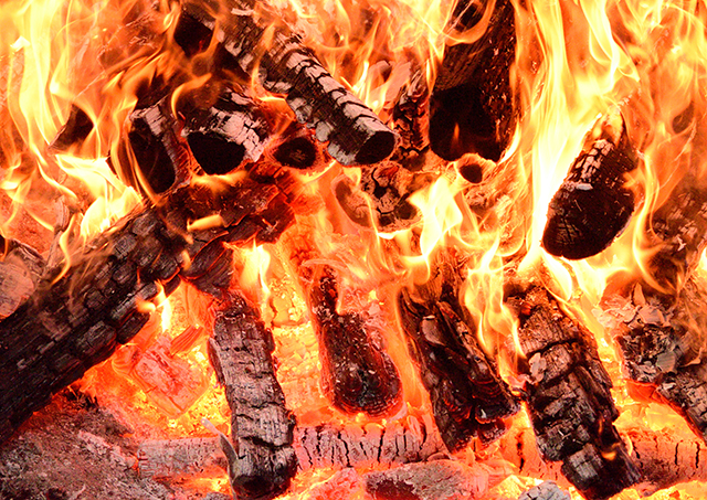 2日 ： 欲の薪が智慧の火となる